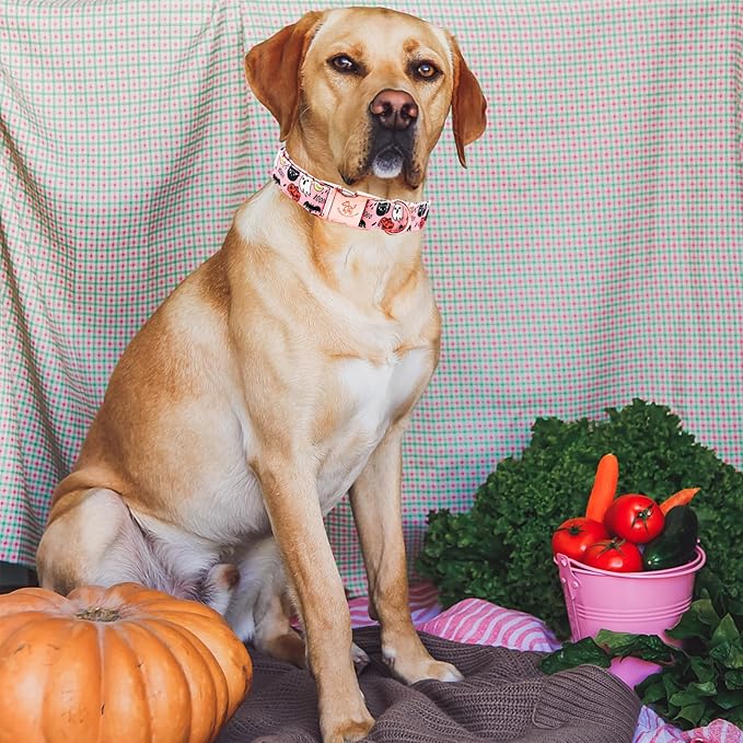 Elegant little tail Halloween Dog Collar, Autumn Pet Collar Durable Pink Dog Collars Male or Female Holiday Pet Gift Adjustable Dog Collar for X-Small Dogs