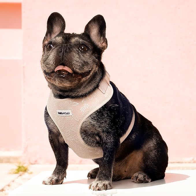 No Pull Dog Vest Harness for Small&Medium Dogs, Side Clip Adjustable Pet Vest, Soft Breathable, Fashion Dog Harnesses for Walking, Running, Shopping (Nude, S)