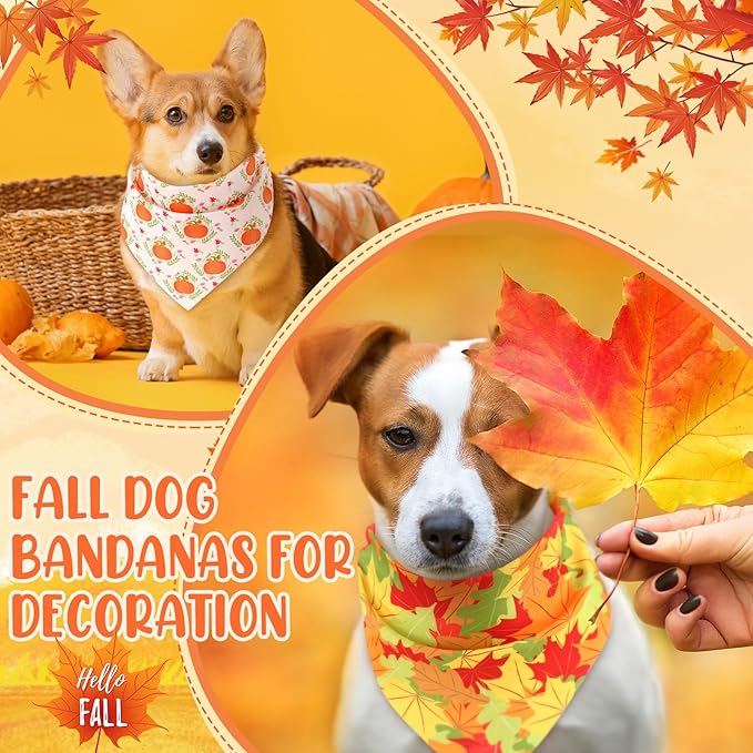 Preboun 50 Pcs Fall Thanksgiving Dog Bandana Bulk Pumpkin Maple Leaves Bandana for Dogs Triangle Kerchief Bib Scarf for Pets Costume Photo Props Accessories Pet Shops, 25 Styles (19.7 x 13.8 x 13.8)