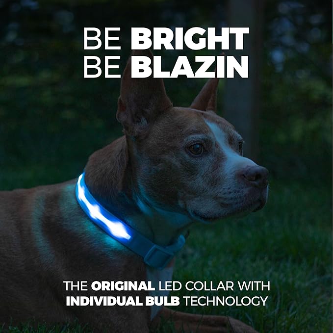Blazin Light Up Dog Collar - The Original LED Dog Collar - USB Rechargeable - Waterproof - 1,000 Feet of Visibility - Dog Collar Light for Small, Medium, Large Dogs - USA Brand