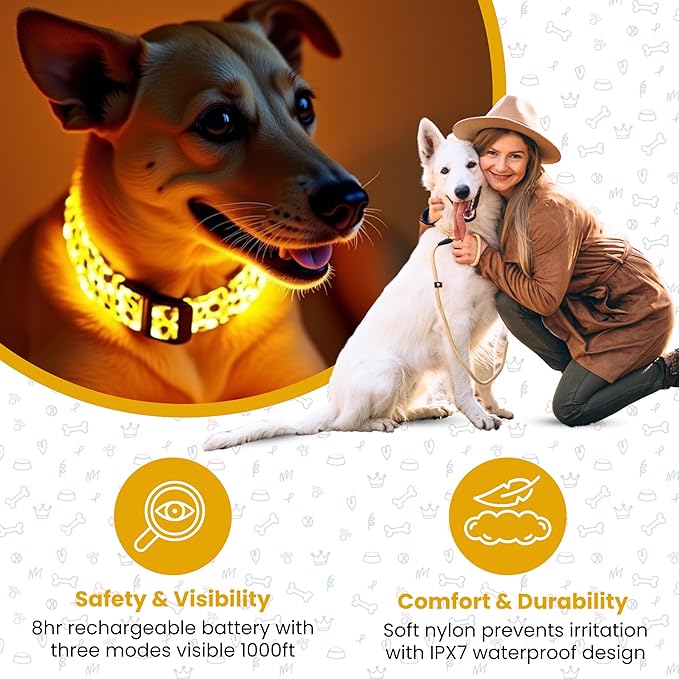 Leopard Dog Collar - Glow in The Dark USB Collar with Rechargeable Battery + Waterproof Design - Light Up Dog Collar - Yellow (Medium Size)