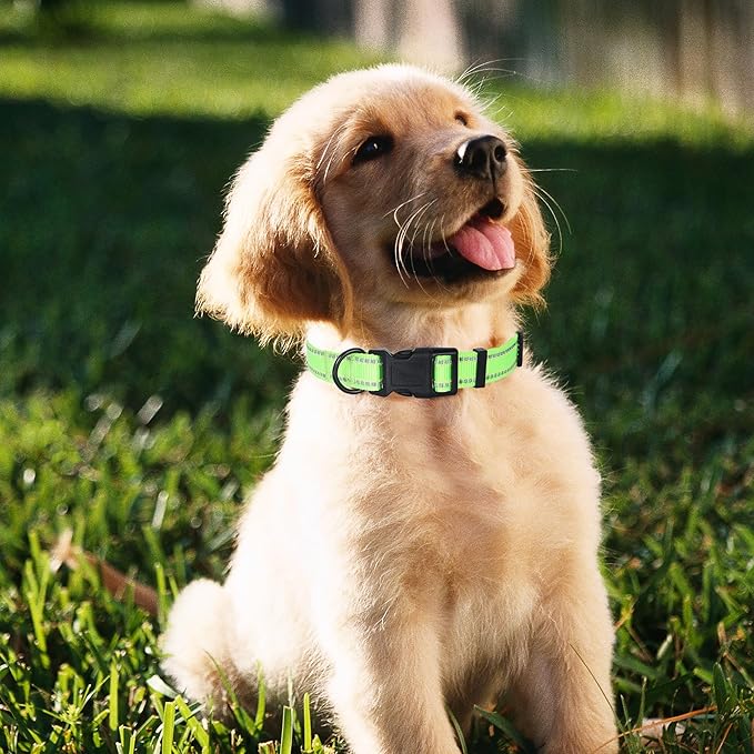 Mile High Life Reflective Dog Collar, Basic Dog Collars Adjustable Quick Release, Soft Nylon Pet Collar with Metal D-Ring for Small Medium Large Dogs (Lime, XS Neck9-13)