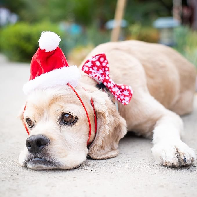 Huxley & Kent Pet Hat | Santa (Large) | Festive Christmas Holiday Accessory for Dogs/Cats | Holiday Pet Hat | SnugFit Sliding Toggles for Best Fit