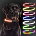 PAJ GPS – PAJ Light – Glowing LED Collar for Dogs – Cut-to-Fit (20–70 cm) – 100% Waterproof – 7 Color Modes – Night Safety & Visibility