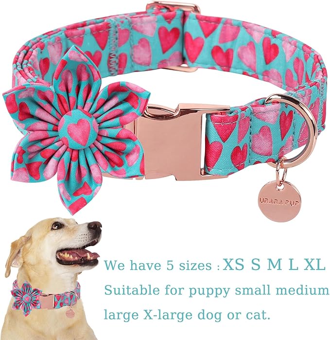 Valentine Dog Collar with Flower, Heart Flower Collar for Puppy Girl Boy Dog or Cat, Comfortable Dog Collar Flower with Durable Metal Buckle, Cute Pet Collar, S, Neck 10-16in