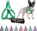 Kruz No Pull Dog Harness (Chest 26”-38”, Weight 44-88 lbs) Heavy-Duty Pet Harness for Large Breeds, Ultra-Comfort Fit, Lifetime Durability, Adjustable Dog Harness No Pull Design (Mint Green, Large)