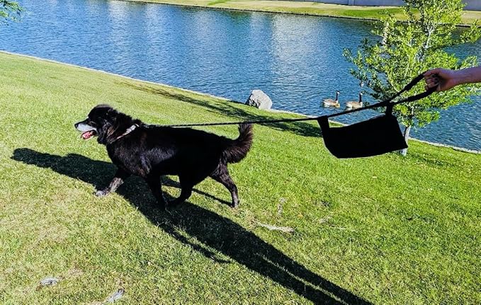Koji's Leash Pack with Buttons - Dog Poop Bag Carrier, Attaches to Leash, Holds New and Used Bags and Phone