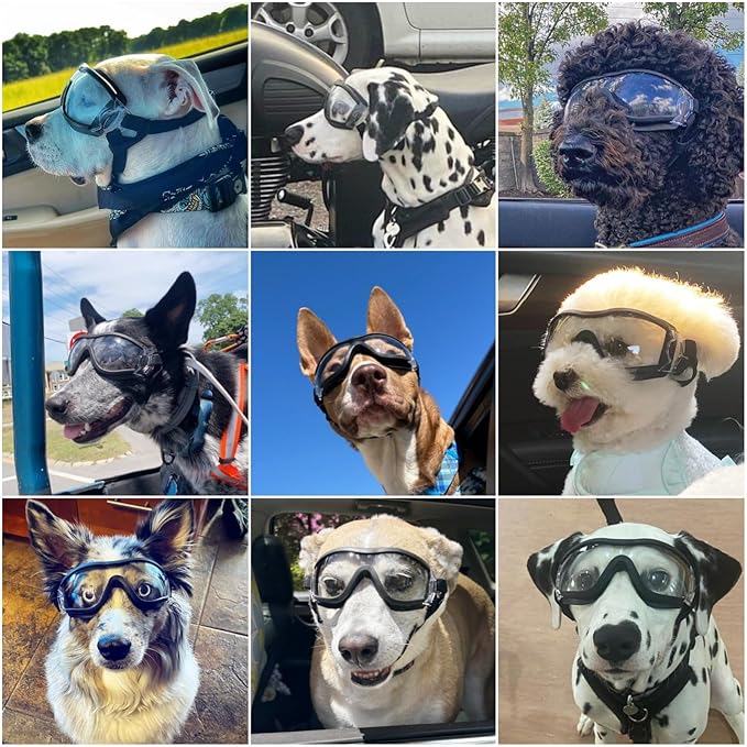 Namsan Clear Dog Goggles Large Breed, UV-Protection Doggie Sunglasses for Medium to Large Dogs, Outdoor Dog Eye Protection, Anti-Fog Anti-Dust Windproof Snowproof, Adjustable Straps, Transparent