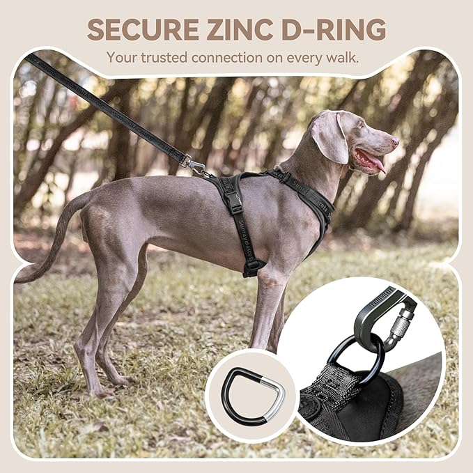 No Pull Dog Harness with Lycra, Three-Point Force Dispersion & 3D Padding, Adjustable Breathable Mesh for Small Medium Large Dogs(Black,M)