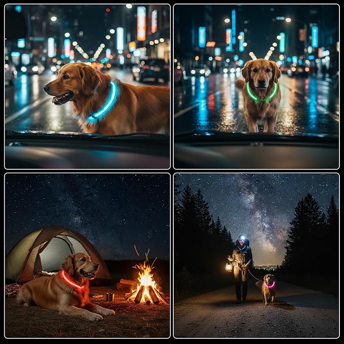 Rechargeable Reflective Pet Gear LED Dog Collar Light Up, Flashing Glowing Illuminated Collar for Night Walking, Neon Pet Collar with Light for Small/Medium/Large Dogs (Red, 1-Pack)