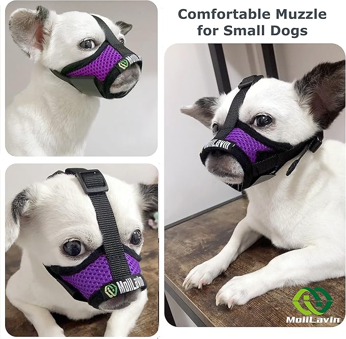 Dog Muzzle, Breathable Mesh Muzzles for Small Dogs 5-15bls, Chihuahua Muzzle for Biting Barking, Adjustable Puppy Muzzle XS Extra Small Muzzle (Comfy-Purple)