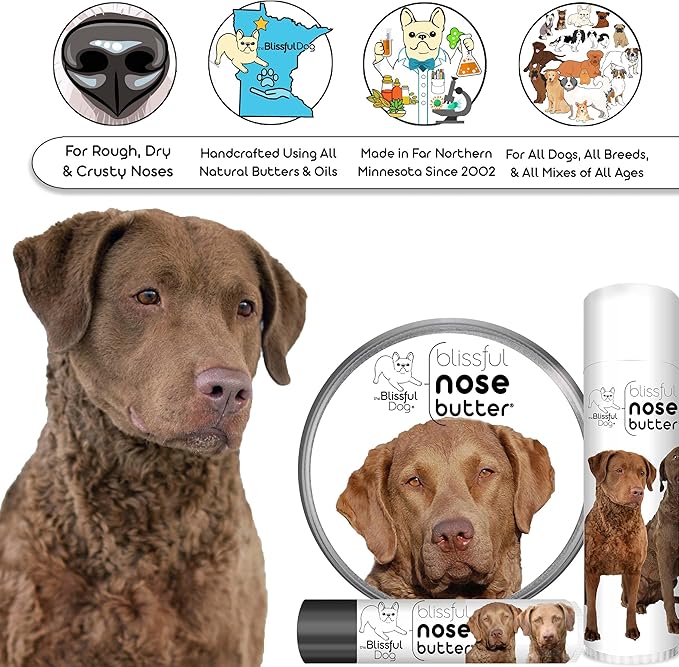 The Blissful Dog Chesapeake Bay Retriever Unscented Nose Butter, 0.50-Ounce