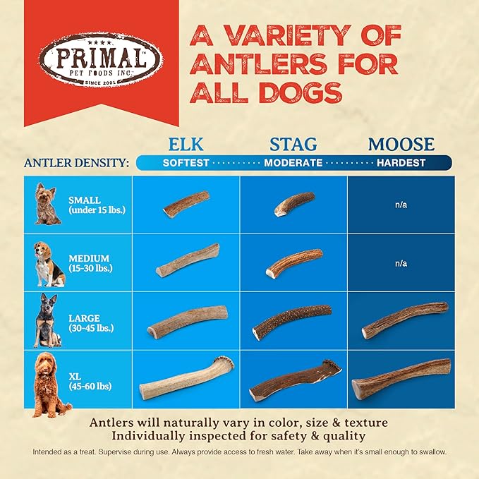 Primal Antlers for Dogs, Grade A Split Stag Antlers for Small Canines up to 15 lb, Natural Chews for Aggressive Chewers, Naturally Shed, Long Lasting Dog Bones, 1 ct