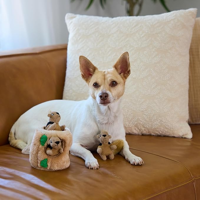 Outward Hound Squeakin' Squirrels Plush Replacement Dog Toys - 3 Pack