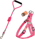 Dog Harness and Leash - Comfortable Leash and Harness for Small, Medium, Large Dogs - Perfect for Training, Includes D-Ring Harness & Leash Set