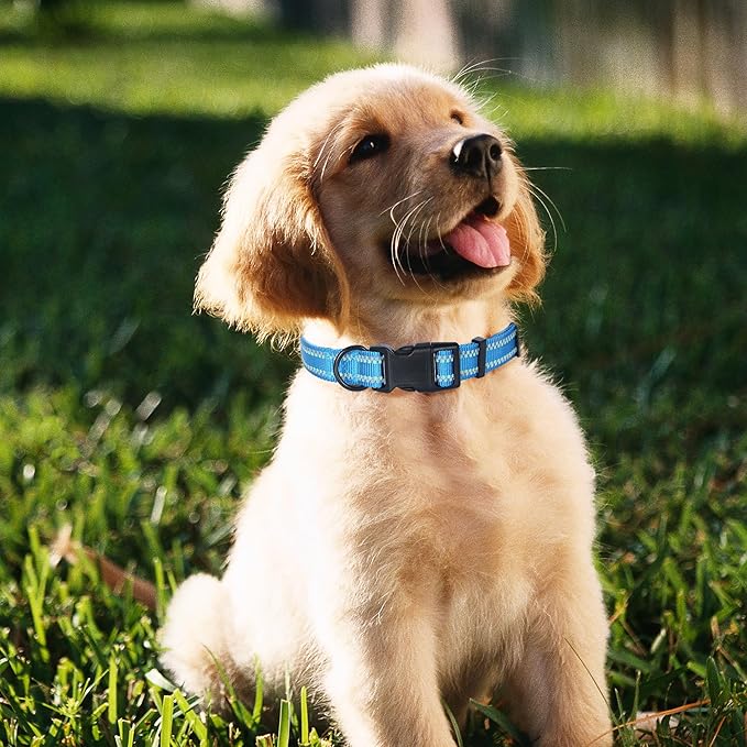 Mile High Life Reflective Dog Collar, Basic Dog Collars Adjustable Quick Release, Soft Nylon Pet Collar with Metal D-Ring for Small Medium Large Dogs (Hot Blue, XS Neck9-13")