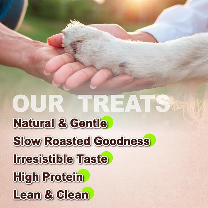 Afreschi Chicken Jerky Dog Treats, All Natural, High-Protein, Healthy & Easily Digestible, Grain-Free Puppy Chews, Human Grade Training & Rewards Dog Snacks, Chicken Breast, 16 oz Pack