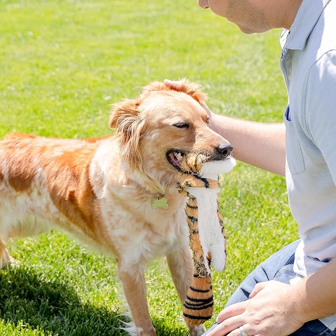 Squeaky No Stuffing Dog Toy Set – New & Improved Edition Plush Crinkle Dog Toys for Small, Medium & Large Breeds – Soft Tough Stuffless Puppy Chew Squeak Animal Supports Pet Health & Well Being 5 Pack