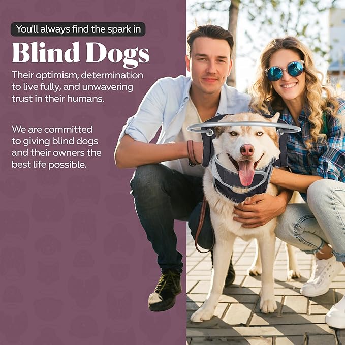 Muffin’s Halo® – The Original Blind Dog Halo | Harness & Bumper Collar Accessory for Safe Navigation & Confidence – Black, Size 9