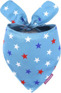 LunaMarie - Luxury Pet Birthday Bandanas -Premium & Silky Poly Fabric | 100% Handmade | Custom Shape Dual Layered (Liberty, Large)