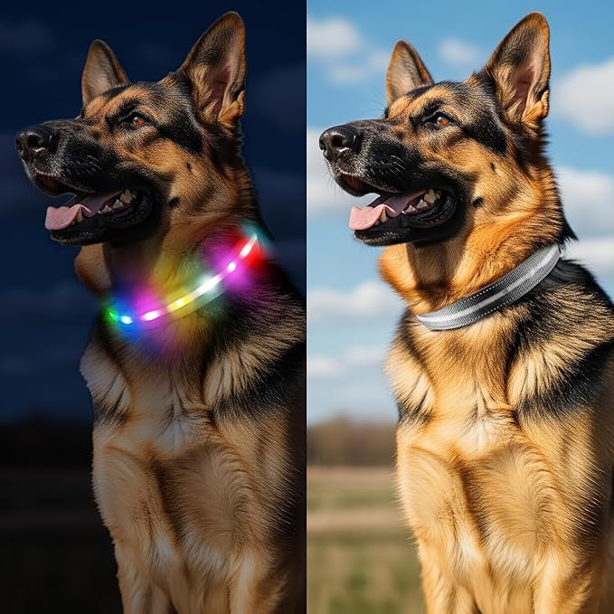 Light Up Dog Collar, USB Rechargeable 6 Modes, Waterproof Charging Port, Long Lasting LED Collar - Adjustable Nylon Reflective for Dogs, Sizes S/M/L (7/9/11 Lights) - 5 Colors (Black, S)