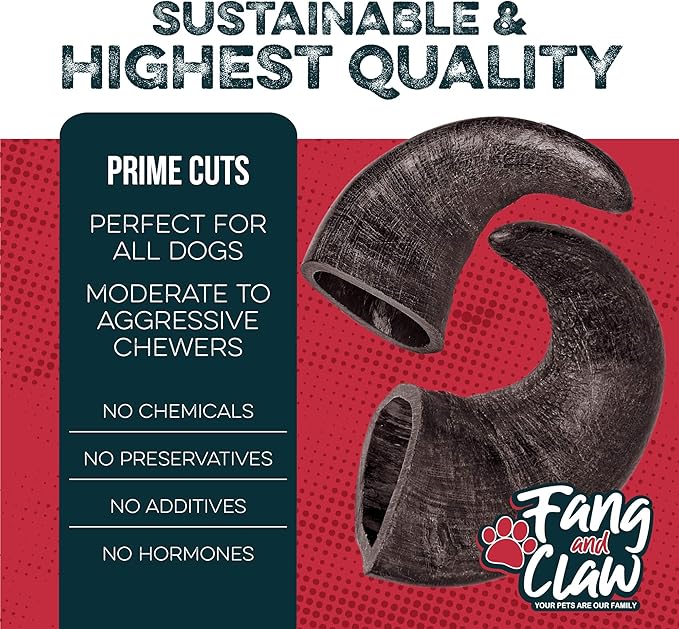 Water Buffalo Horn Dog Chew 4 Pack - Small 4" - All Natural Free Range Grass Fed Single Source Protein - No Chemicals, Additives, Hormones - Long Lasting, Good for Aggressive Chewers – by Fang & Claw