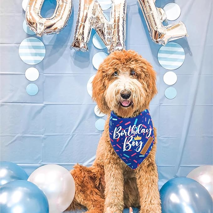 Realeaf Birthday Boy Dog Bandana, Dog Birthday Party Supplies,Premium Durable Fabric, Bandana for Medium and Large Dogs Pets (Blue, Large)