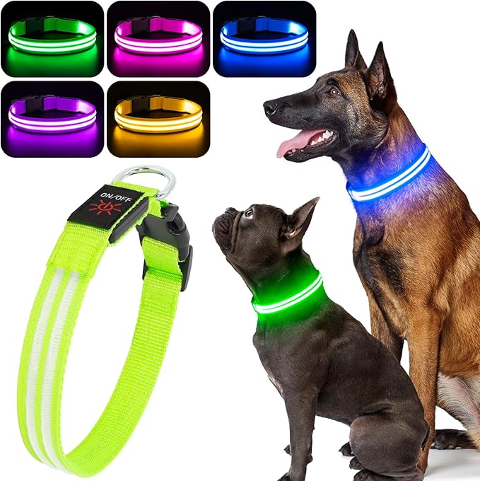 BSEEN Light Up Dog Collar - LED Dog Collar Rechargeable Lighted Pet Collars Glow in The Dark Puppy Collar Safety Dog Lights for Night Walking(Green, Small)