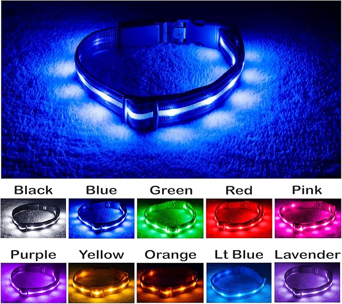 Blazin Light Up Dog Collar - The Original LED Dog Collar - USB Rechargeable - Waterproof - 1,000 Feet of Visibility - Dog Collar Light for Small, Medium, Large Dogs - USA Brand