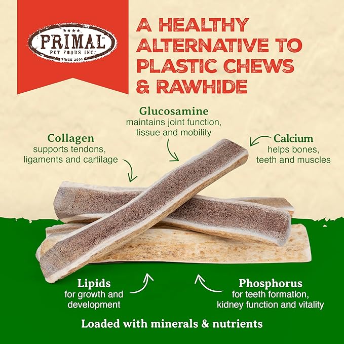 Primal Antlers for Dogs, Grade A Split Moose Antlers for Large Canines 30-45 lb, Natural Chews for Aggressive Chewers, Naturally Shed, Long Lasting Dog Bones, 1 ct