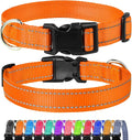 FunTags Reflective Dog Collar, Sturdy Nylon Collars for Puppy and Extra Small Girl and Boy Dogs, Adjustable Dog Collar with Quick Release Buckle,Orange,3/8" Width