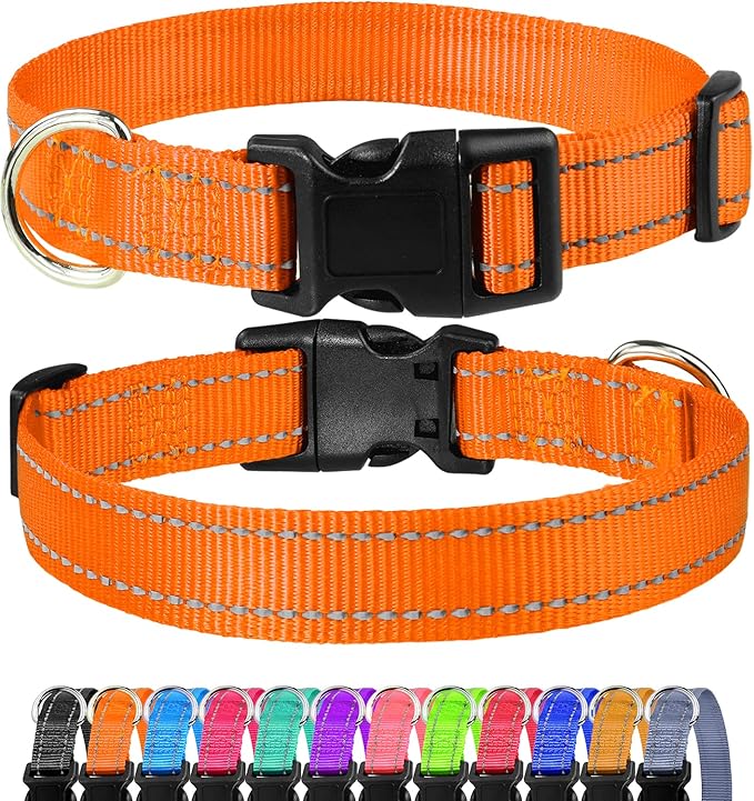 FunTags Reflective Dog Collar, Sturdy Nylon Collars for Puppy and Extra Small Girl and Boy Dogs, Adjustable Dog Collar with Quick Release Buckle,Orange,3/8" Width