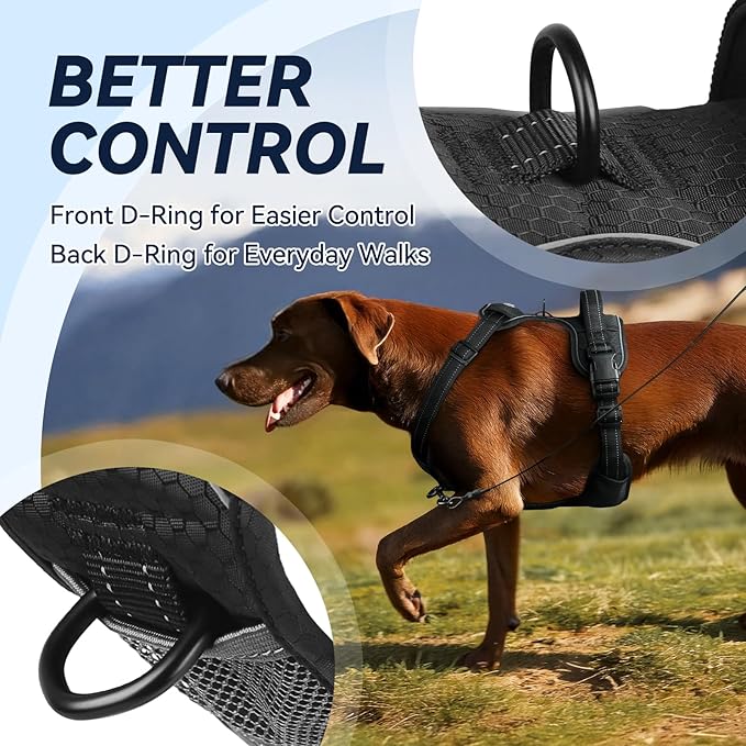 VIVAGLORY Dog Harness Easewalk No Pull Dog Harness with Handle Front Clip & Back Clip for Training Walking Lifting, No Pull Adjustable Easy On Padded Comfortable for Pet, XS, Black - Patterned