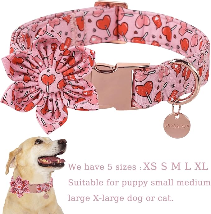 Valentine Dog Collar with Flower, Heart Flower Collar for Puppy Girl Boy Dog or Cat, Comfortable Dog Collar Flower with Durable Metal Buckle, Cute Pet Collar,XL, Neck 16-26in