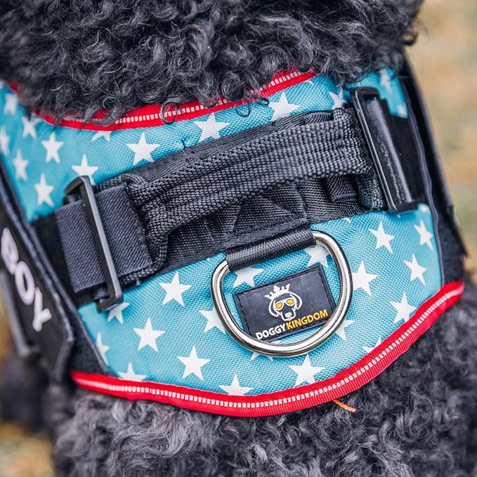 Personalized No-Pull Dog Harness with Name Patch, Adjustable, Reflective, Padded, Heavy Duty Pet Vest to Prevent Tugging, Pulling, or Choking, Training and Walking, Light Blue, S