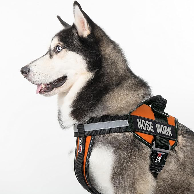 Dogline Unimax Dog Harness Vest with Nose Work Patches Adjustable Straps Breathable Neoprene for Identification Training Dogs Girth 15 to 19 in Orange
