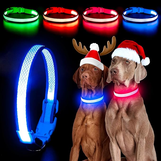 YFbrite Light up Dog Collar, USB Rechargeable LED Puppy Collar Super Bright Adjustable Glowing Dog Lights for Night Walking (Blue, Small)