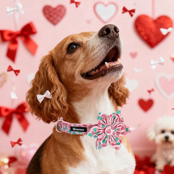 Maca Bates Valentine's Day Dog Collar with Flroral Bow for Small Girl Boy Dogs,Pink Love Hearts Pattern,Adjustable Durable Soft Valentine Gift for Female Male Puppy