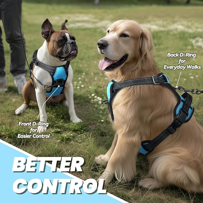VIVAGLORY Dog Harness Easewalk No Pull Dog Harness with Handle Front Clip & Back Clip for Training Walking Lifting, No Pull Adjustable Easy On Padded Comfortable for Pet, M, Sky Blue - Plain