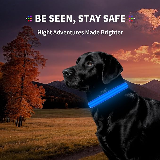 PetIsay Dog Light up Collar for Night Walking - High Visibility LED Dog Collar - Rechargeable - Waterproof - Reflective - Adjustable Lighted Glow Collars(Blue, XLarge)