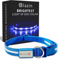 Blazin Light Up Dog Collar - The Original LED Dog Collar - USB Rechargeable - Waterproof - 1,000 Feet of Visibility - Dog Collar Light for Small, Medium, Large Dogs - US Brand