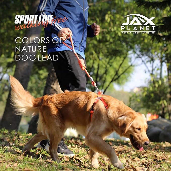 Dog Harness and Leash - Comfortable Leash and Harness for Small, Medium, Large Dogs - Perfect for Training, Includes D-Ring