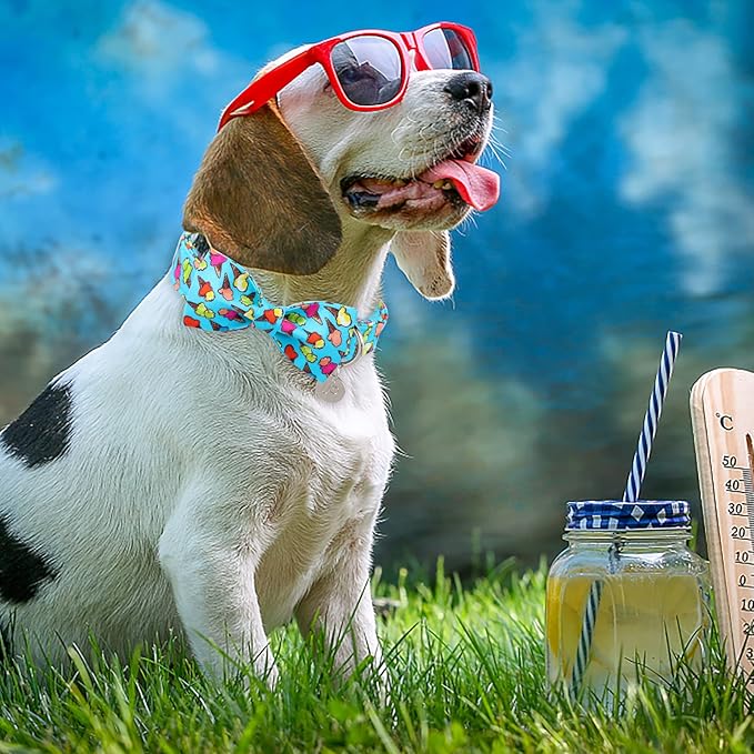 Summer Dog Collar with Bow Tie, Cotton Cute Bowtie Dog Collar, Summer Bowtie Collar for Small Boy Girl Dog, Comfortable Blue Dog Collar with Metal Buckle, S