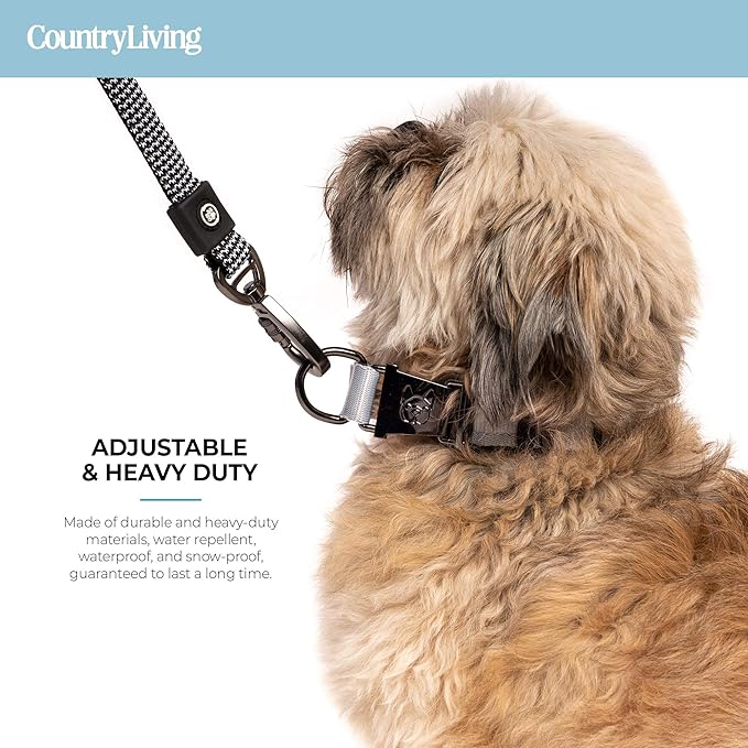 Silver Paw Light Up Dog Collars, LED USB Rechargeable Dog Collar, Waterproof & Durable (Grey,S)