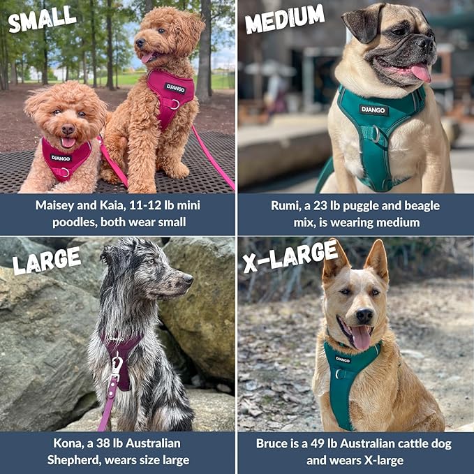DJANGO Tahoe No Pull Dog Harness – Escape-Proof Dog Harness for Medium & Large Dogs with Front & Back Clips for Everyday Use – Adjustable, Padded, Reflective, Secure, Easy On/Off – Alpine Blue, Large