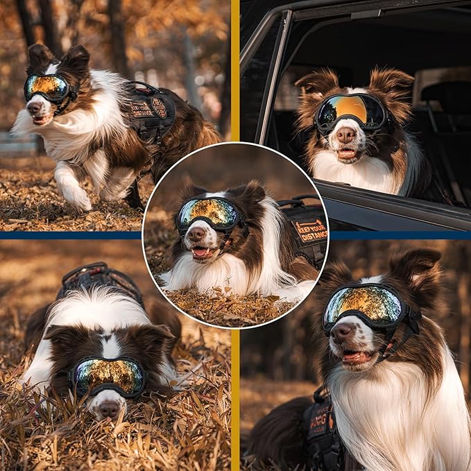 OneTigris Dog Goggles, Dog Sunglasses for Large Dogs with Adjustable Strap UV Protection, Windproof, Suitable for Medium Large Breed, Dogs Eyes Protection