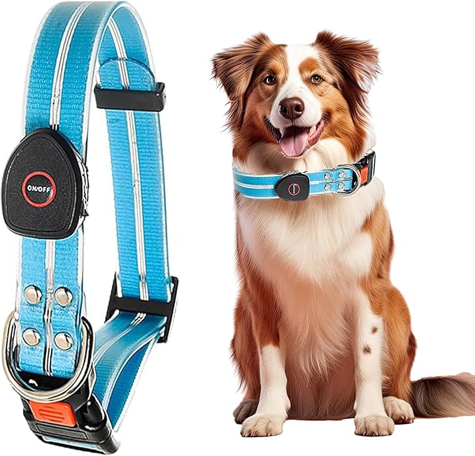 Safety Led Dog Leash for Night Walking - Glow in The Dark - Water Resistant Nylon Webbing - Lightweight and Heavy Duty - USB Rechargeable - RGB Color Changing - Suitable for All Dogs (Blue)