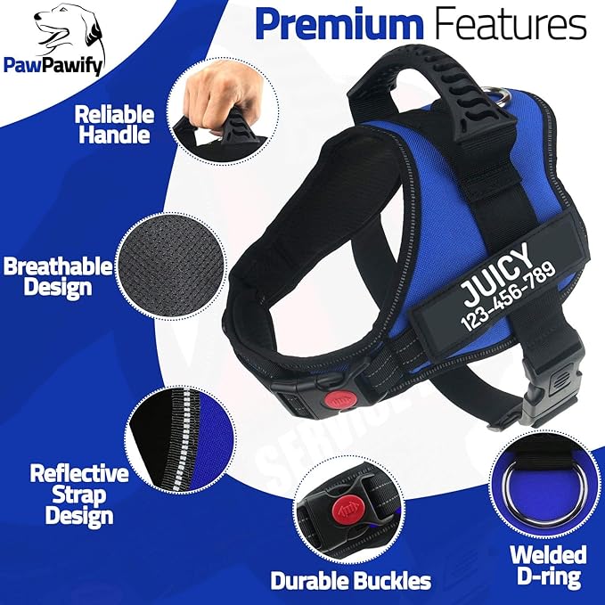 Personalized No Pull Dog Harness with Custom Name and Phone Number by PawPawify, Heavy Duty Pet Vest to Prevent Tugging, Pulling, or Choking, Training and Walking Blue