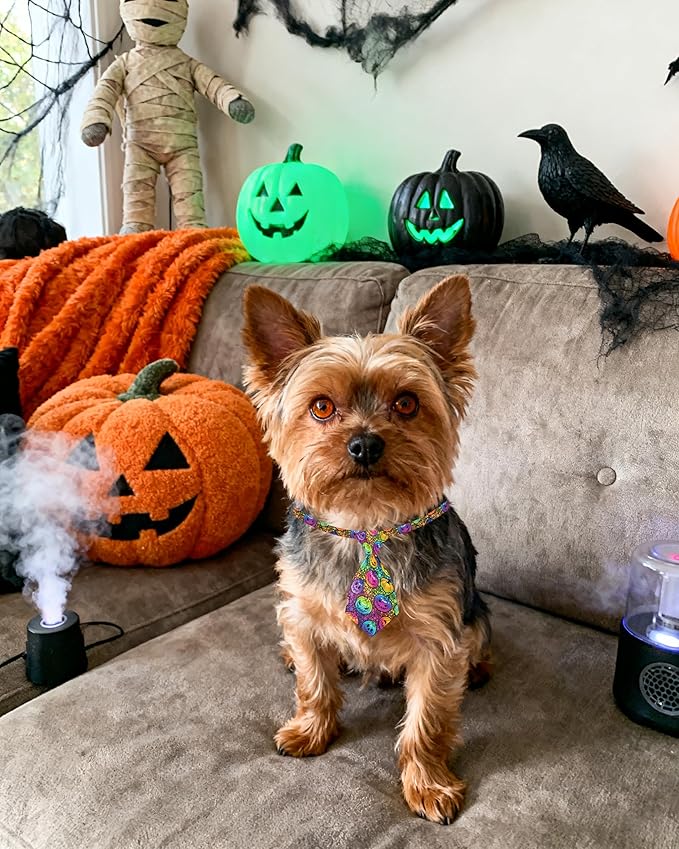 PET SHOW 10pcs Halloween Small Dog Ties Neckties for Doggies Cats Adjustable Holiday Grooming Accessories Neck Ties Bowties Girl Boy Festival Costumes Puppies Party Gift Favor