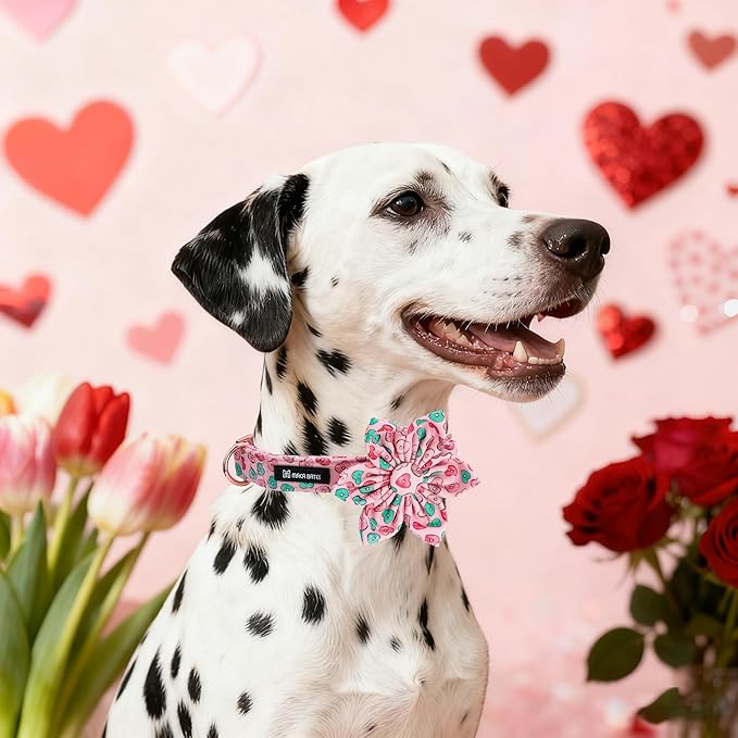 Maca Bates Valentine's Day Dog Collar with Flroral Bow for Small Girl Boy Dogs,Pink Love Hearts Pattern,Adjustable Durable Soft Valentine Gift for Female Male Puppy